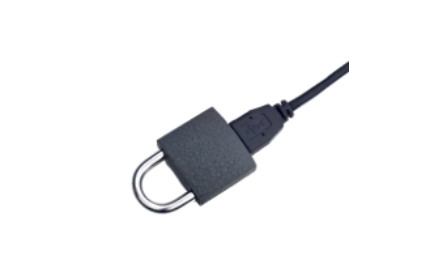 Understanding Network Security